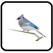 BirdNETApp